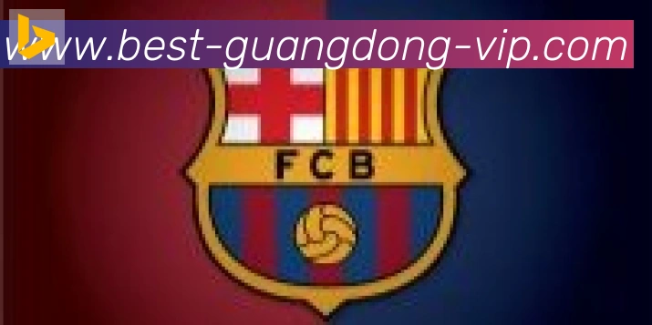 广东体彩合作伙伴